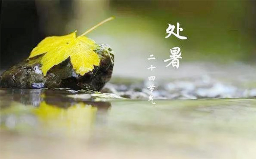 处暑已至丨鹏展科技守护您的数据安全，助您稳健前行.jpg