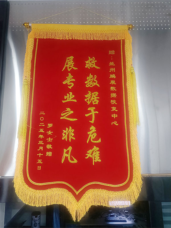 兰州鹏展数据恢复中心助力连锁药店成功应对食药监审查.jpg